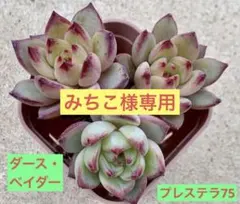 みちこ様 リクエスト 2点 まとめ商品