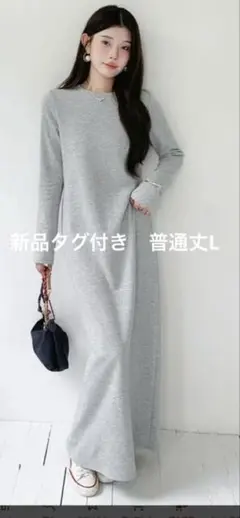 ダークエンジェル　新品タグ付き グレー ロングワンピース 普通丈L