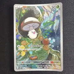 2026年最新】Pokemon Card Game カード名：タマゲタケ ポケモンカード
