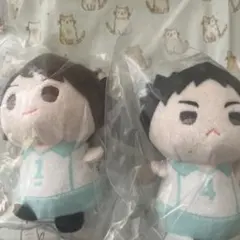 もちもちマスコット ハイキュー たっち 及川徹 岩泉一