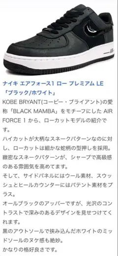 【未使用】NIKE AF1 プレミアム 318775-014のサムネイル