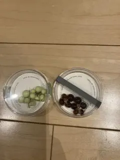 Item thumbnail for item d0f19e7e-a16f-4f79-87ca-4f24beeebb83