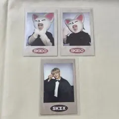 【即購入可】SKZ-X SKZOO ポラロイド セット アイエン