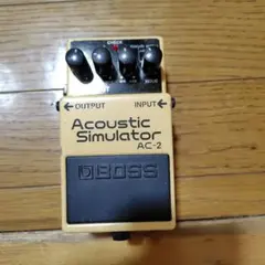 AMT Electronics S2 Legend Amps 本体 - メルカリ