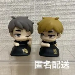 ハイキュー!! おねむたん 宮ツインズ 宮侑 宮治