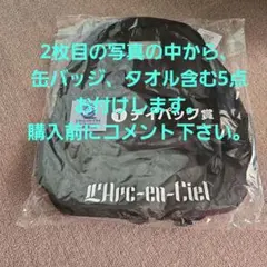 【最新グッズ】ディズニークルーズ 非売品リュック キャスタウェイクラブ 最新グッズ】ディズニークルーズ 非売品リュック キャスタウェイクラブ