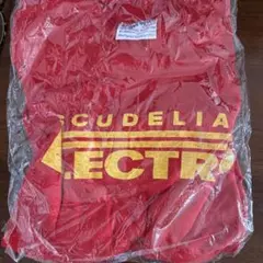 スクーデリアエレクトロ　tシャツ スパイラルライフ Spiral Life