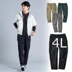 Item thumbnail for item 6c185a61-aea5-467f-9181-e3d3abc7c8f7