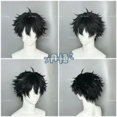 刀剣乱舞 二筋樋貞宗 コスプレ ウィッグ 完成品 カットセット済み