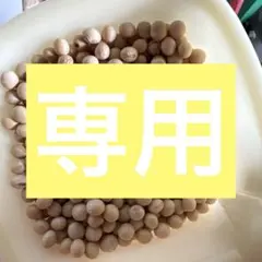 のこちゃん様専用 15kg