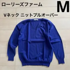 ローリーズファーム M レディース Vネックニットプルオーバー