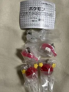 ポケモン めじるしアクセサリー2