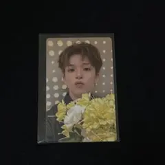 TREASURE pleasure 本国ポップアップ トレカ アサヒ