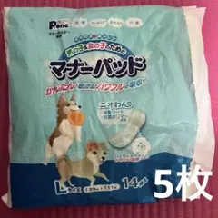 Item thumbnail for item 114dda72-60f3-4709-99cd-9f94eab9df1c