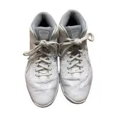 ASICS gel hoop 25.5 バスケットシューズ