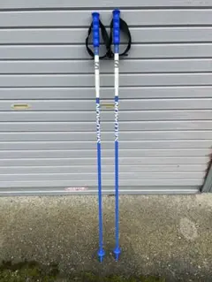 サロモン　スキー ストック 青