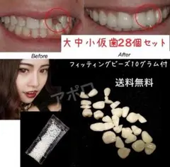 仮歯28個セット ＆ 10グラム　フィッティングビーズ　義歯のサムネイル