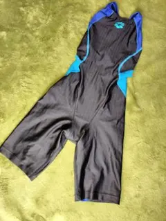 Item thumbnail for item 732a41ef-f7f7-49e2-970c-2f5755444b4d