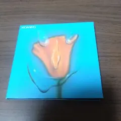 モウニング / Uneasy Laughter