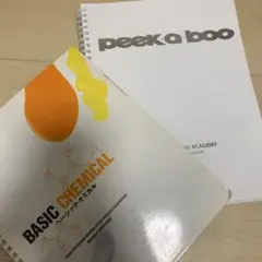 2冊セット PEEK-A-BOO ACADEMY CLASSIC & BASIC