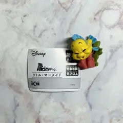 肩ズンFig. フランダー