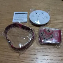 ローレン・イロアス 1st LIVE FACE 缶バッジ カプセルトイ 3D - メルカリ