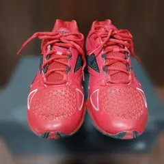 Reebok トレイントーン　27.5㎝　レッド