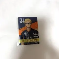 ハイキュー 月島蛍 カード