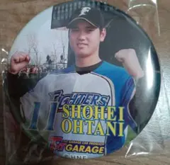 Item thumbnail for item 22732565-7744-4ded-86b8-7f1162427c26