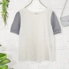 イーハイフンワールドギャラリー【F】バイカラー シャツ　ブラウス　半袖ストライプ