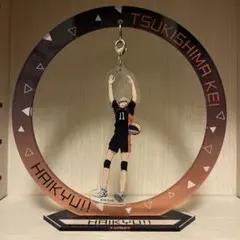 ハイキュー！！　【月島蛍】