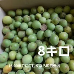 完熟 梅 生梅 10キロ 愛知県産 農薬不使用 - メルカリ