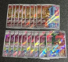 シキジカ　メブキジカ　AR　各10枚