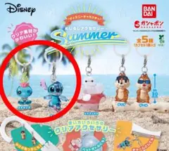 ディズニーキャラクター　めじるしアクセサリー　summer