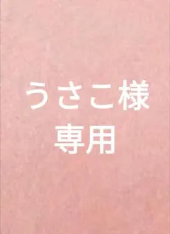うさこ様 リクエスト 9点 まとめ商品