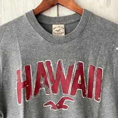 HOLLISTER 　ロゴ　アイロンプリント　Tシャツ　Mサイズ