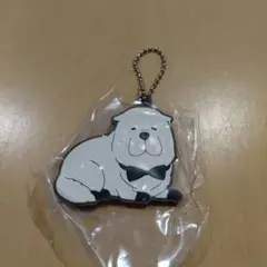 スパイファミリー ボンド