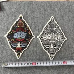 JACKSON MATISSE ステッカー 2枚セット　ジャクソンマティス
