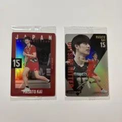 甲斐優斗 バレーボール男子日本代表 トレーディングカード（レア・ノーマル）セット