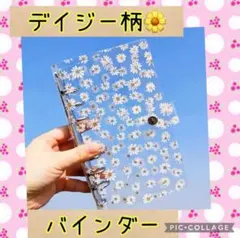 Item thumbnail for item ddce6190-df85-422e-aba9-755c5b1a1ec4