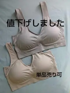 ジニエクールリッチブラ4L期間限定カラー2枚セット(ムーングレー、ヘザーグレー)