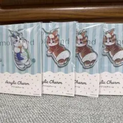 mofusandアクリルチャーム 4個セット ファミマ