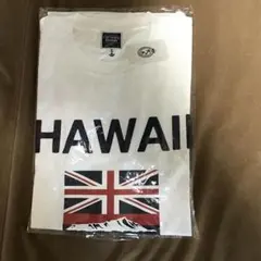 キャプテンサンタTシャツ未使用品サイズL 値下げのサムネイル