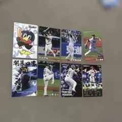 東京ヤクルトスワローズ プロ野球チップスカード