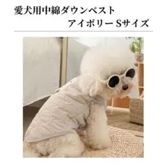 Item thumbnail for item 6dcb4390-afa9-4970-9b73-659406868205