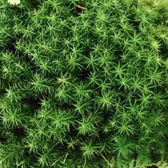 waraku様 リクエスト 3点 まとめ商品