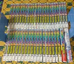 ヤケ少なめ良品✨ からくりサーカス 全巻 1〜43 藤田和日郎 - メルカリ