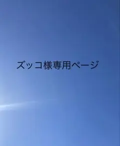 ズッコ様専用ページ