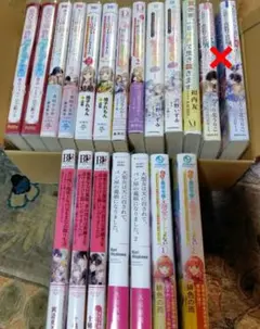 アルファポリスアンダルシュノベルズまとめ売り全17冊 - メルカリ