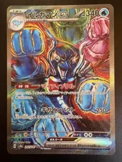 2025年最新】sar テラスタルフェス イルカマンの人気アイテム